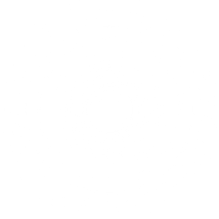 white  blur circle gradient