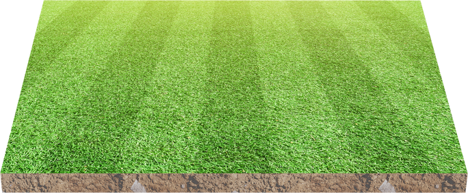 3D, Soccer or Football Field Isolated