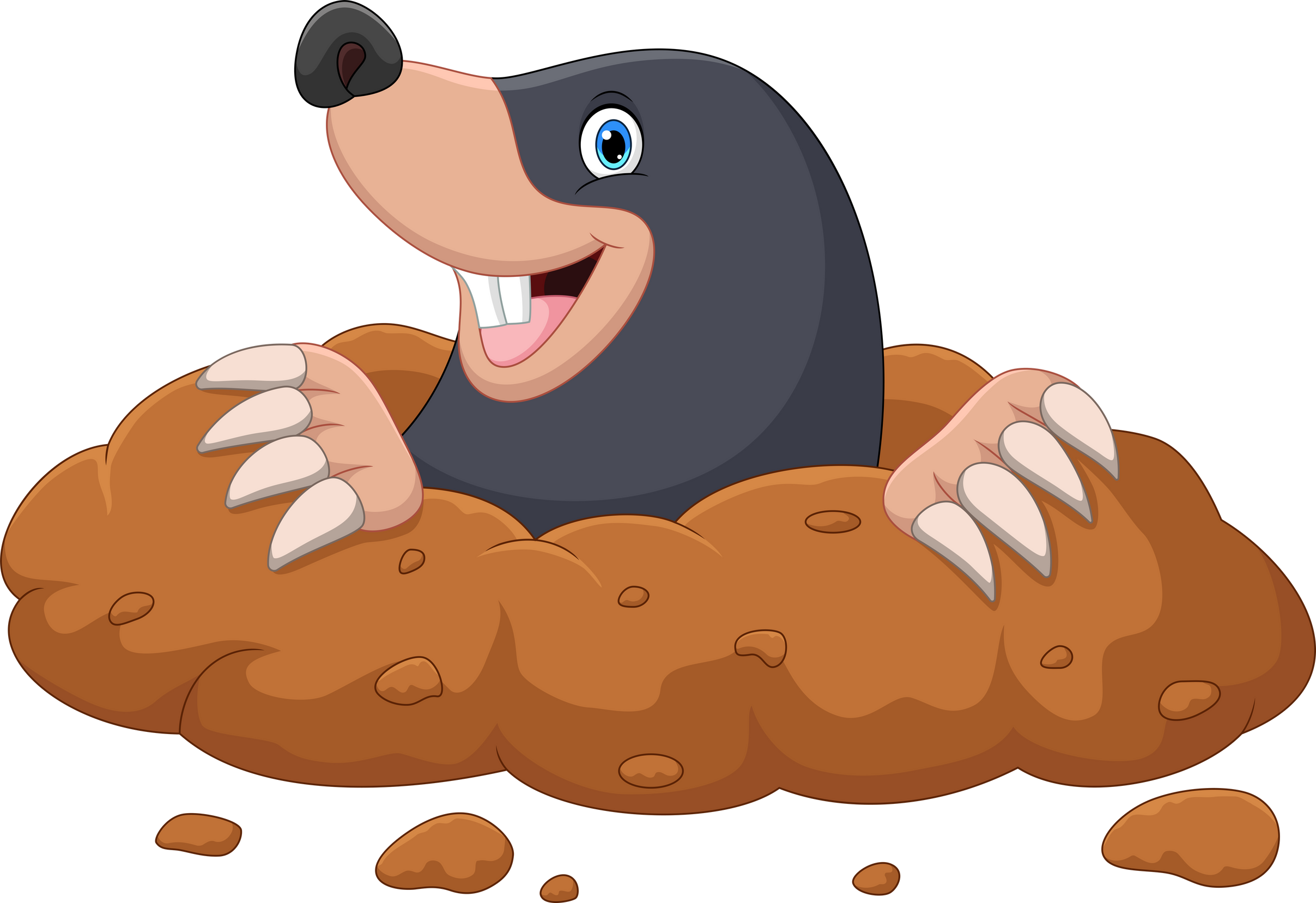 Vector cartoon mole come out of the hole